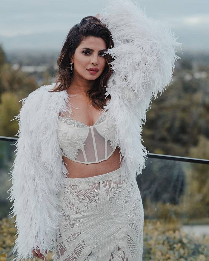 priyanka chopra_teluguvox_7